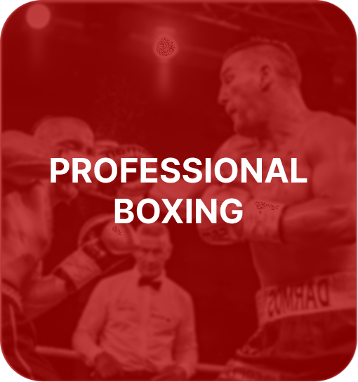 professional side