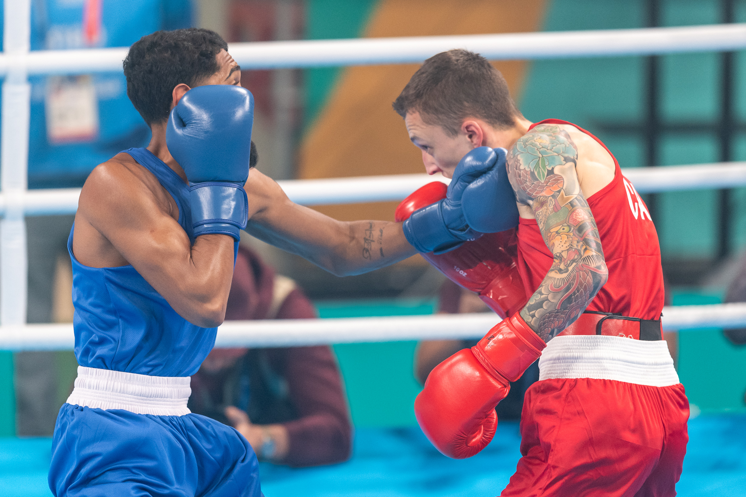 Eight women boxers qualified for the Oly...